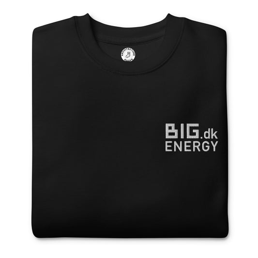 BIG.dk ENERGY - Embroidered Sweatshirt